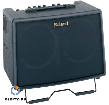 Roland AC-60