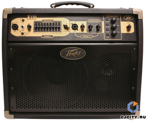 Peavey Ecoustic E110