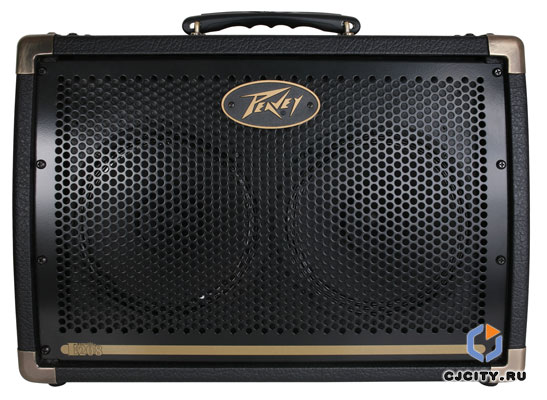 Peavey Ecoustic E208