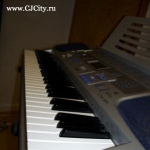  Casio CTK-591