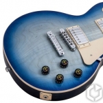 28     Gibson  2014 