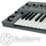 Roland SH-101:   
