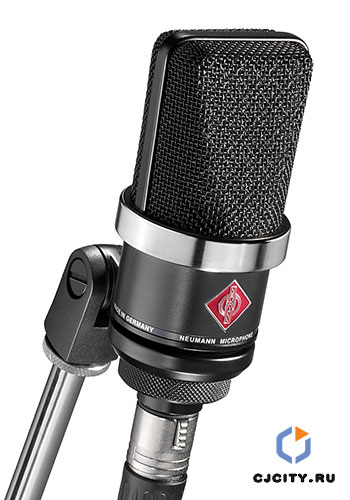 Neumann TLM 102
