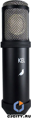 Kel Audio Song Sparrow