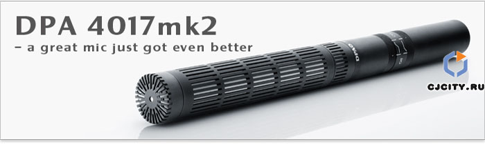 4017mk2 Shotgun
