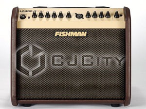 Акустический комбик Fishman Loudbox Mini.