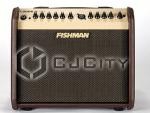 Акустический комбик Fishman Loudbox Mini.