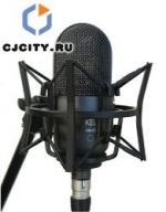 Бюджетный микрофон Kel Audio HM2d