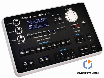 Звуковой модуль ROLAND BK-7m