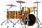 ddrum Journeyman и ddrum Paladin