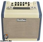 Усилитель акустической гитары SubZer 60W