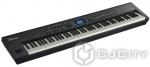 Сценическое фортепиано Roland RD-800
