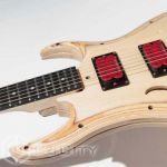 модульная гитара Evolution Guitars