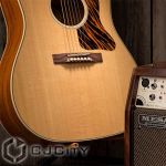 Mesa Boogie Rosette