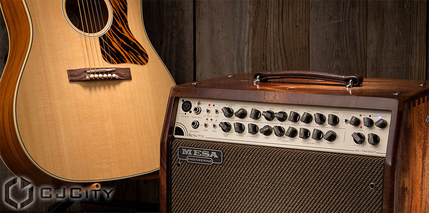 Mesa Boogie Rosette