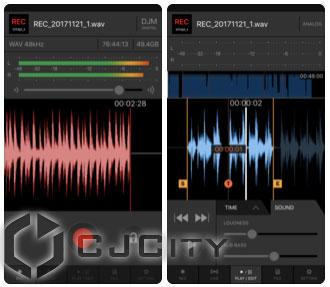 Pioneer DJM-REC  iOS